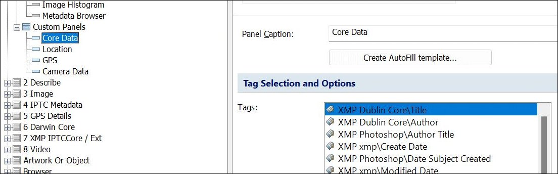 Selecting tags and configuring options for a user-defined Metadata Panel Layout.