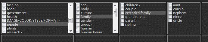 The thesaurus control element in the IMatch Keywords Panel.