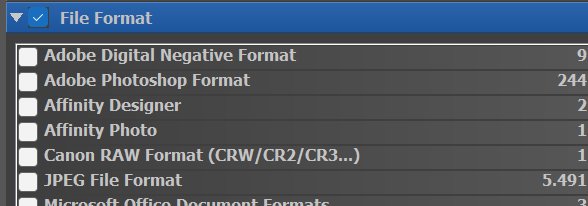 A screen shot of the File Format filter.