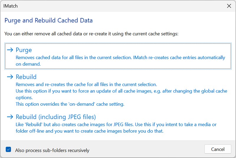 This dialog allows you to control the purge and rebuild cache process.