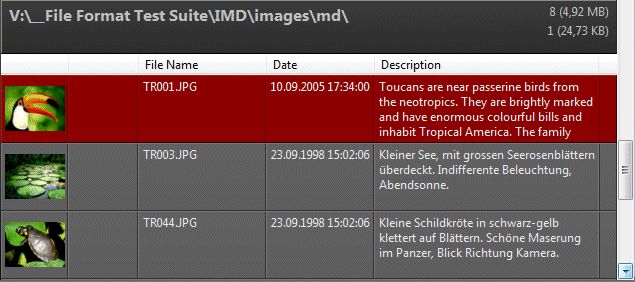 A screen shot of an IMatch File Window tabular layout.