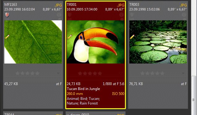 A very informative layout, displaying a wide range of metadata in each panel.