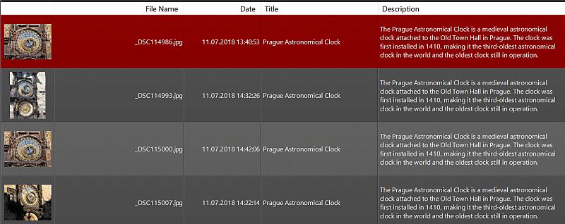 File Window layout using tabular mode. This layout shows the thumbnail, the file name, date & time and the description of each image. You can include up to 20 columns in your layout.