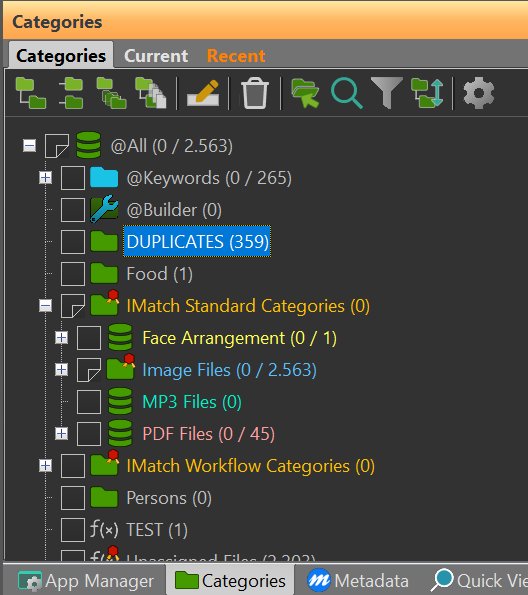 A screen shot of the Categories Panel in IMatch.