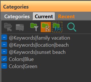 A screen shot of the Current tab in the Categories Panel.