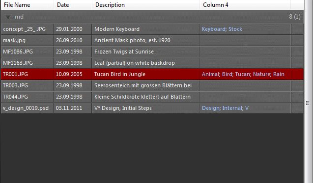 Tabular layout without thumbnails. This layout shows file name, date, headline and keywords.