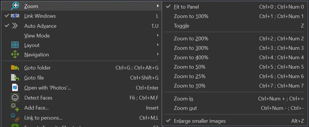 The Viewer context menu with the available Zoom options.