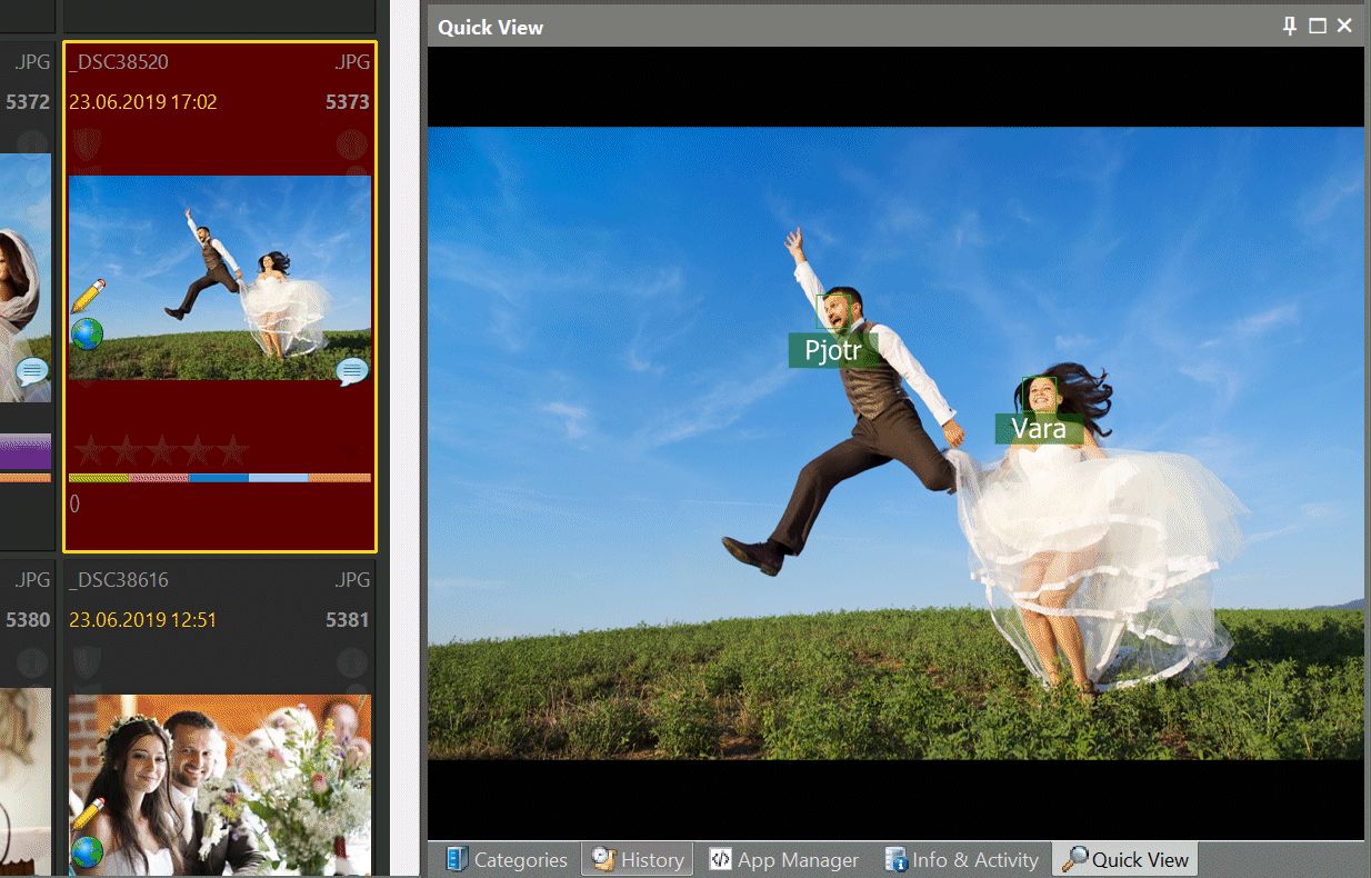 A screen shot of the Quick View Panel in IMarch. The panel shows a wedding photo.