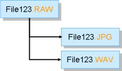 A schematic for how IMatch manages buddy files.