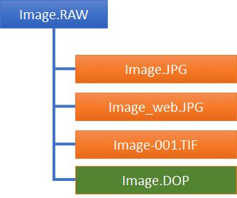 A graphic explaining how IMatch searches for related files.