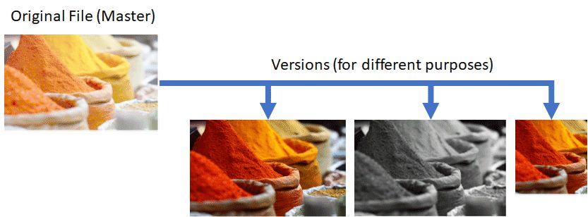 A schematic explaining masters and version files.