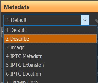 Selecting a Metadata Panel layout from the drop-down menu.