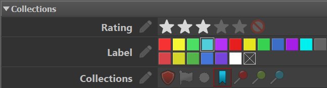 A screen shot of the Ratings and Collections panel in the IMatch Metadata Panel.