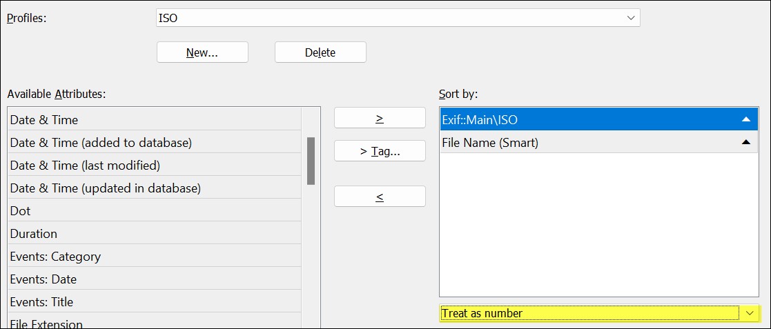 This control allows you to tell IMatch to treat a metadata tag as a number during sorting.