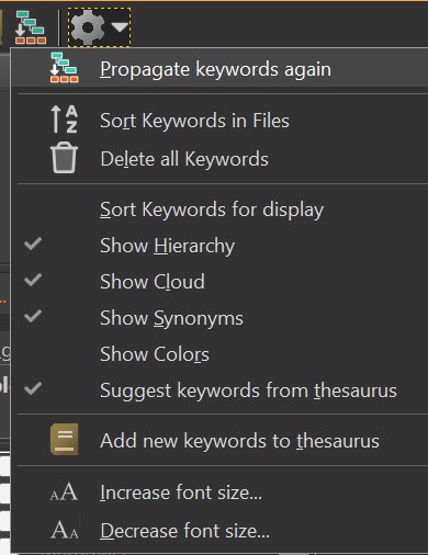 A screen shot of the gear menu in the Keywords Panel.