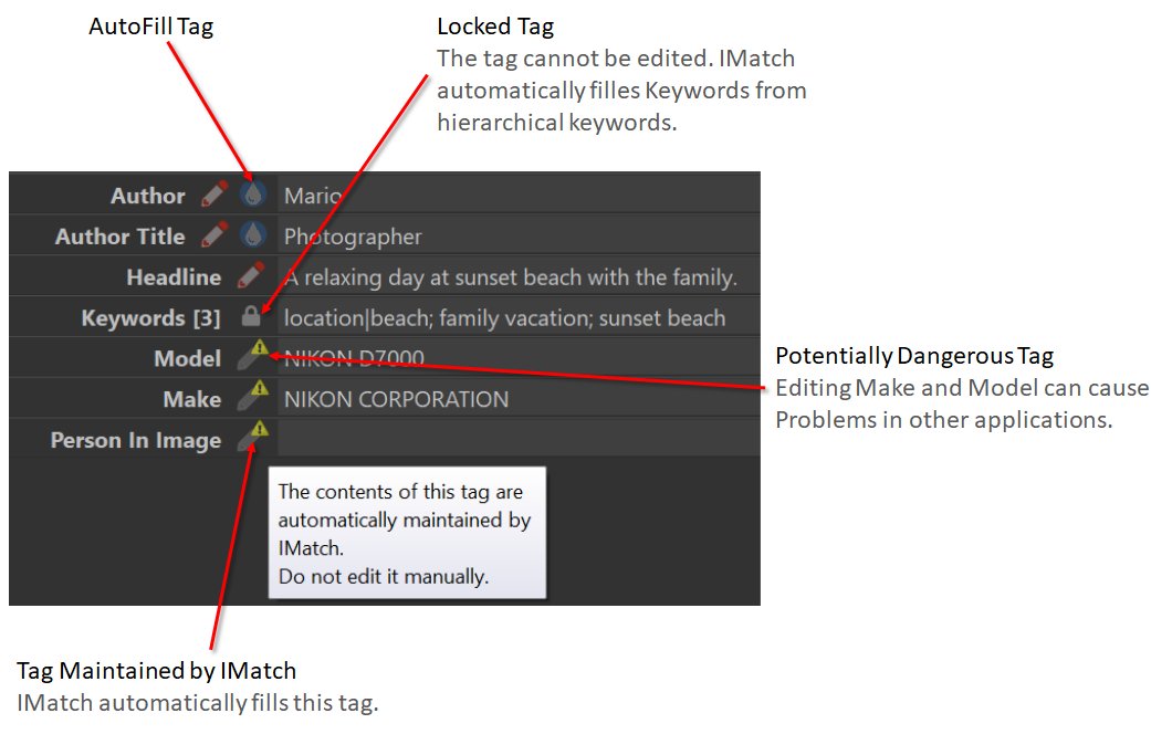 A graphic explaining the different icons used in the Metadata Panel.