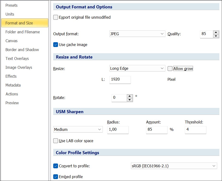 A screen shot of the Batch Processor Format and Size tab.