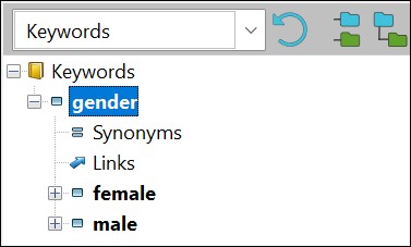 The new keywords in the Thesaurus Manager.