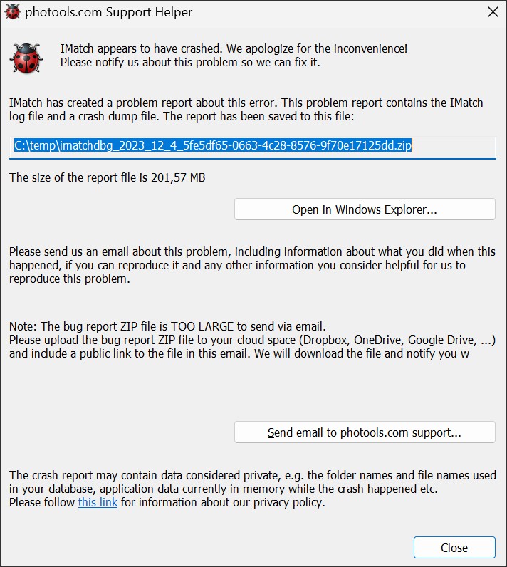 A screen shot of the IMatch Crash Handler dialog.