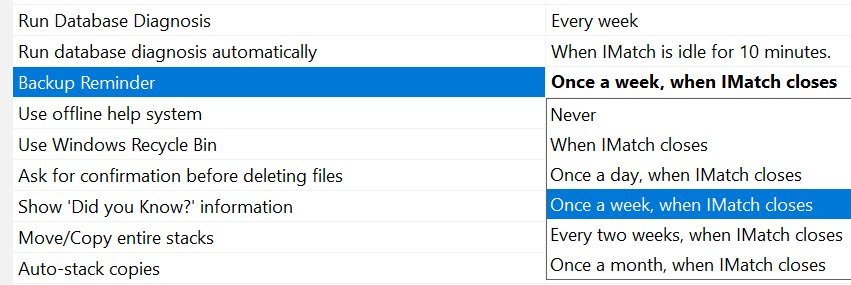 Screen shot of IMatch Pack & Go settings.