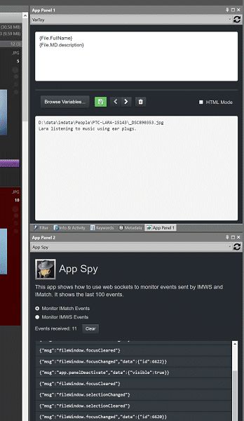 App Panels host apps in IMatch. You can select the app to run in the panel from the drop-down list at the top.