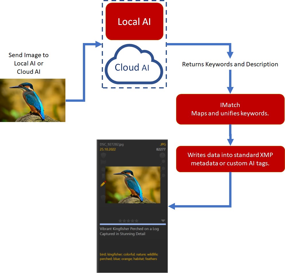 A graphic describing the AutoTagger workflow.