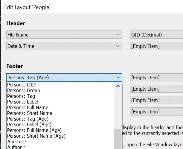 The simple File Window layout editor with the available person attributes.