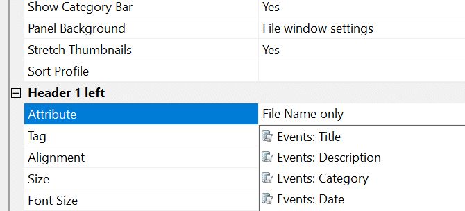 A screen shot of the File Window Layout editor, with the user selecting event information for display in the image tiles for this layout.