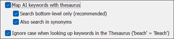 Screen shot of the keyword mappings dialog with the thesaurus options in focus.