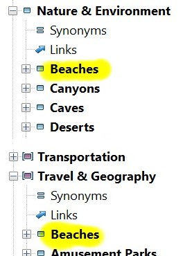 Screen shot of a keyword hierarchy in the thesaurus.