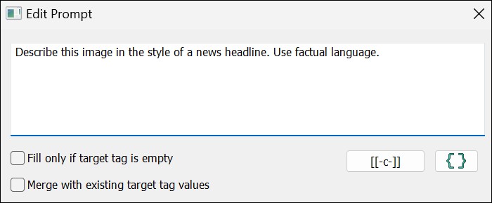 Prompt editor buttons in the AutoTagger Settings.