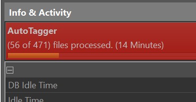 The AutoTagger progress bar in the Info & Activity panel.