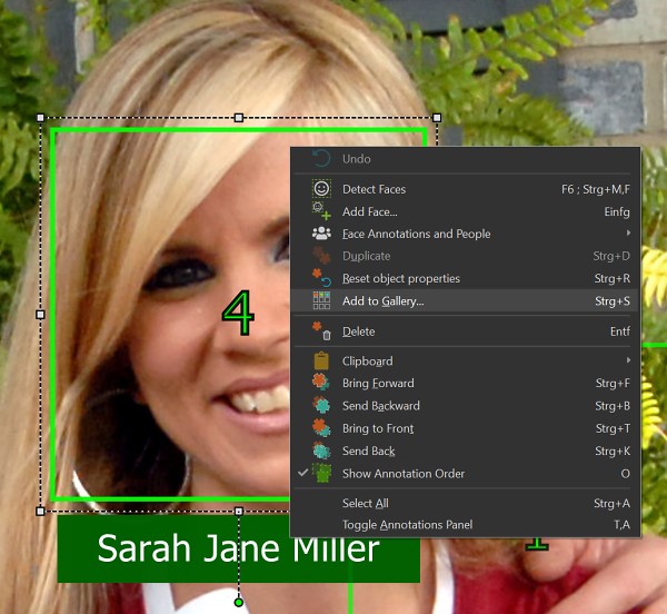 Context menu to add a face to the Annotation Gallery.