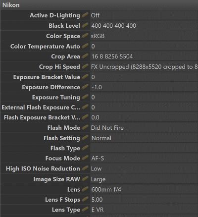 The IMatch Metadata Panel in browser layout displaying the hundreds of metadata tag values imported from a NEF RAW file. Even the maker notes are visible!