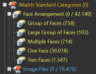 Screen shot of the Face Arrangement category, which automatically organizes your files based on the number and arrangement of faces.