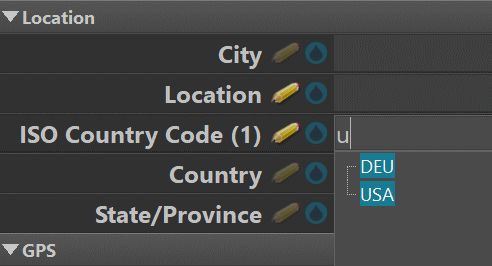 Starting to type into an AutoFill tag to see matches. There are two possible matches for country: DEU and USA.