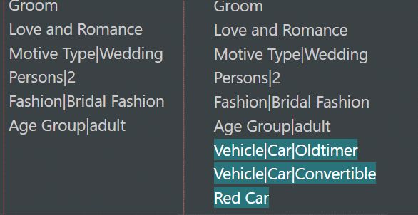 For tags with repeatable values, e.g. keywords, the additional or differing tag values are highlighted with a contrast color.