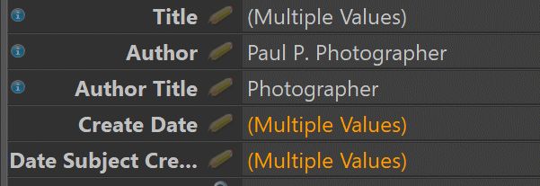 The IMatch Metadata Panel showing identical and different tag values with multiple files selected.