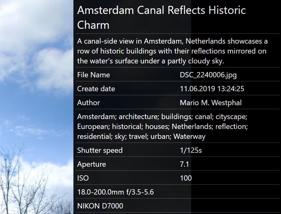 The default overlay layout in the Viewer.