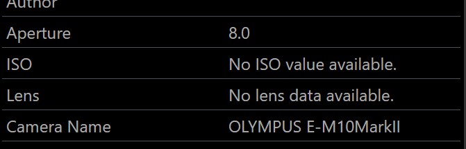 Indicating which tags have no value by outputting a text.