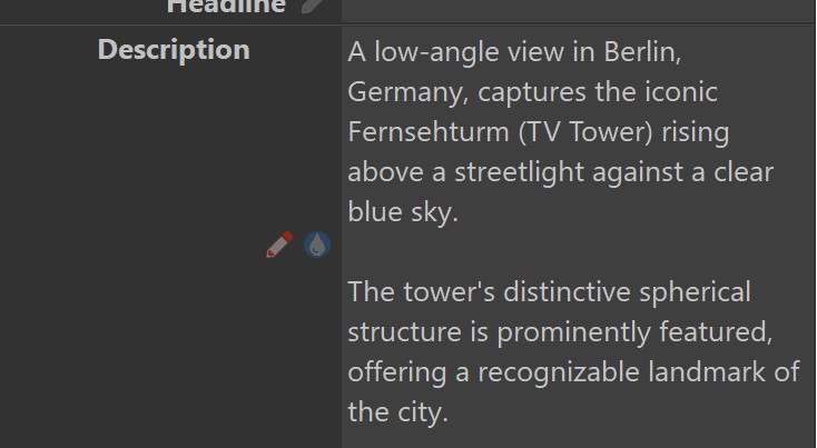 A description with two paragraphs in the Metadata Panel.