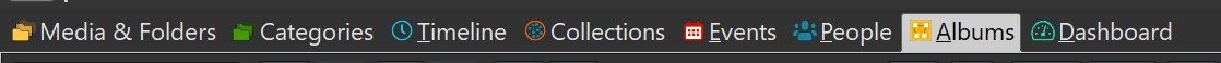 The Album View in the tab group at the top of the IMatch window.
