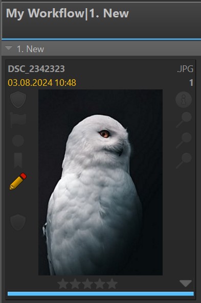 A screen shot of an image in an IMatch File Window. The category bar below the image shows the color of the currently assigned workflow category.