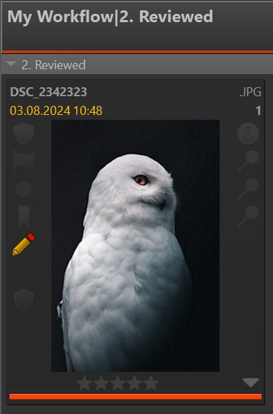 A screen shot of an image in an IMatch File Window. The category bar below the image shows the color of the currently assigned workflow category.