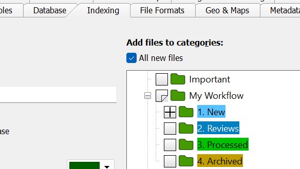 Screenshot of the Indexing options in IMatch. The user makes IMatch automatically assign new files to the 1. New category.