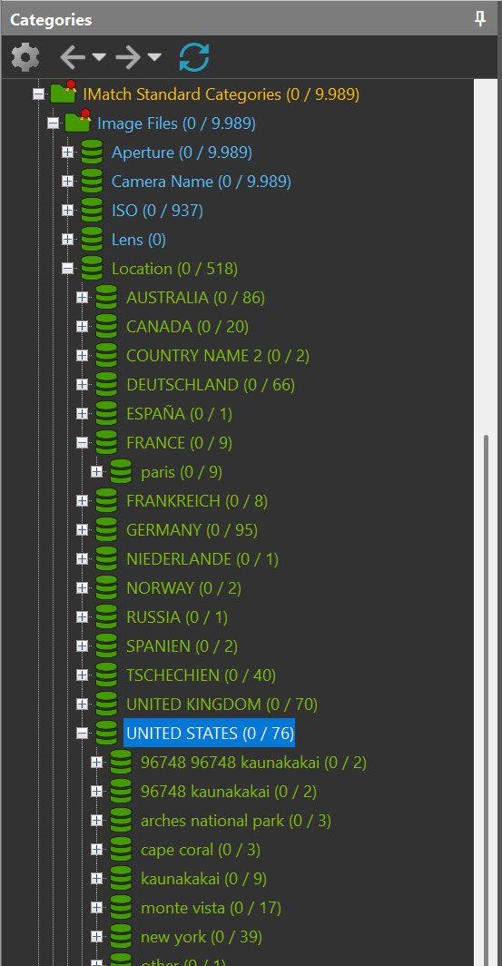 IMatch's automatic categorization of files with dynamic data-driven categories.